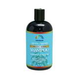 Load image into Gallery viewer, Rainbow Research Organic Herbal Henna Boitin Shampoo (12 fl Oz)